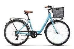 Conor SOHO AL 6V (2023)