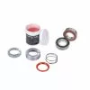 KIT DT SWISS Ratchet EXP 54 Con Rodamientos - Endubikes -BiciMax Ventas Rodamiento para bujes DT SWISS 350 370