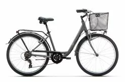 Conor SOHO AL 6V (2023)